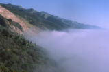 Big Sur coastline