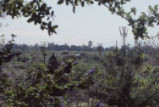 Distant view of Bernard Field Station lake