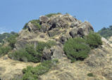 Rock pile