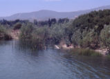 View of lake