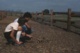 Prairie dogs