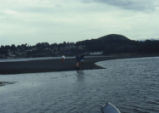 Morro Bay mud flats