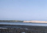 Morro bay mud flats