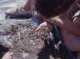 Lab III, sorting soil