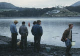 Digging for clams