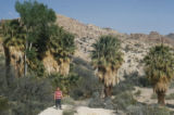 Ian at Joshua Tree