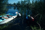 Students on pHake Lake