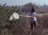 Lab IV- insect netting