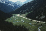 Beaver ponds in meadow