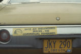 Save an endangered species bumper sticker