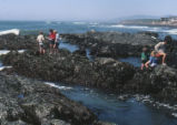 Tide pools