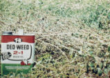 Can of Ded-Weed