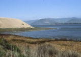 Morro Bay tidal flats