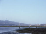 Morro bay mud flats