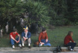 Florida scrub jays and people