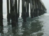 Cayucos pier