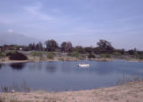 Bernard Field Station lake