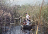 Students sampling in lake