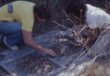 Lab III, sorting soil