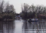 People on the lake