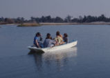 Lake lab, mudsucker on lake