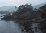 Point Lobos