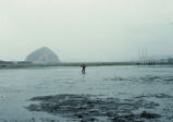 Morro Bay mud flats