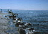 Students stand along rocky shore