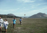 Kite flying