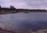 Bernard Field Station lake