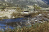 Beaver pond and dam