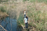 Beaver pond