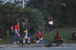 Florida scrub jays and people