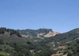 Hearst Castle