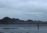 Morro Bay mud flats