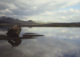 Morro Bay mud flats