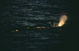 Sperm whale spouting water