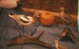 American avocet wood figure