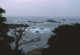 Point Lobos