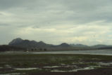 Morro Bay mud flats