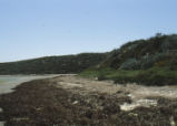 Morro Bay tidal flats