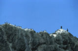 Common murre colony with two Brandt's cormorants