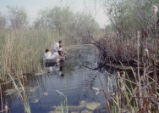 Boat sampling