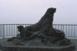 Sea lion statue