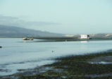 Morro Bay mud flats