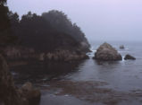 Point Lobos