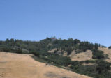 Hearst Castle