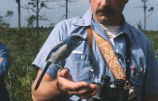 Professor Oglesby and a Florida scrub jay