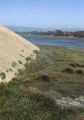 Morro Bay tidal flats