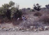 Students working on lab